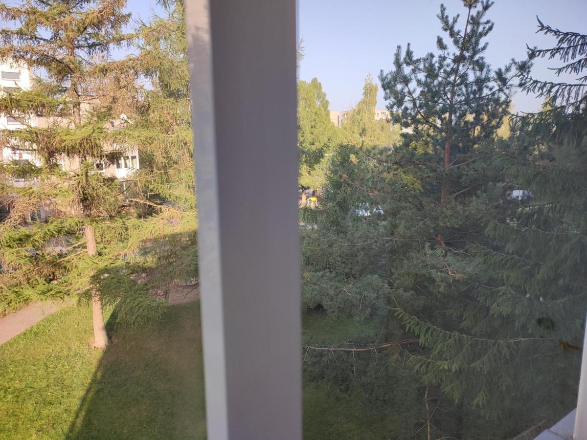 Leilighet Shortstoppasilaiciai Vilnius